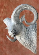 Product-img