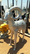 Product-img