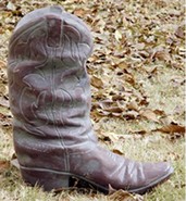 Product-img
