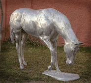 Product-img