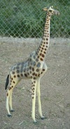 Product-img