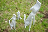 Product-img