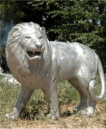 Product-img