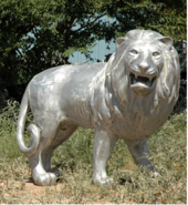 Product-img