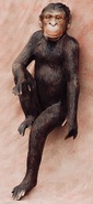 Product-img