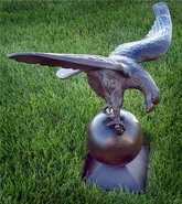 Product-img