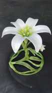 Product-img