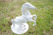 Product-img