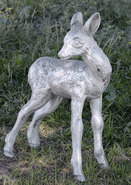 Product-img