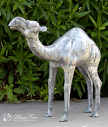 Product-img