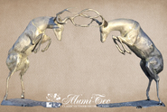 Product-img