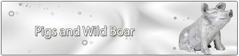 catalog